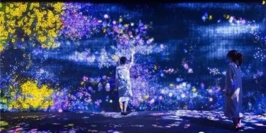 teamLab——風靡全球的沉浸式網(wǎng)紅展項體驗！