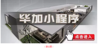 畢加邂逅小“情人”，那就再愛一次吧